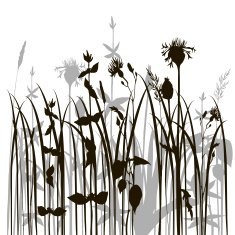 silhouettes of herbs and flowers