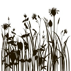silhouettes of herbs and flowers N2