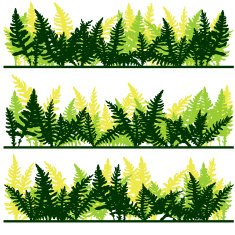 Set of ink drawing fern leaves N3