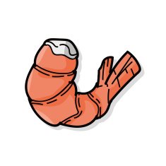 shrimp doodle N2