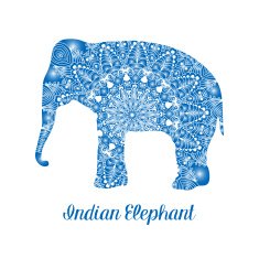 Vintage mandala elephant isolated vector seamless pattern Ethnic indian decoration