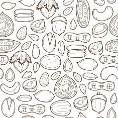 Sealess background with cartoon hand drawn objects on nuts theme