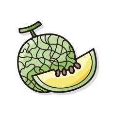 fruits melon doodle