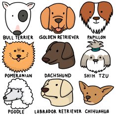 vector set of dogs N3