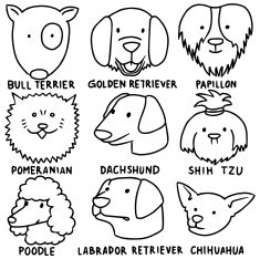 vector set of dogs N4