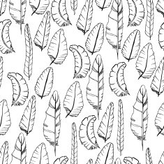 Doodle Feather Pattern