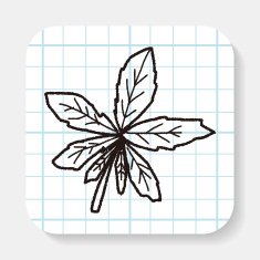 plant doodle N8