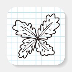 plant doodle N14