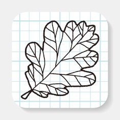 plant doodle N17