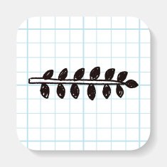 plant doodle N24