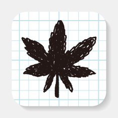 plant doodle N27