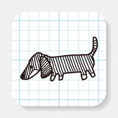Doodle Dog