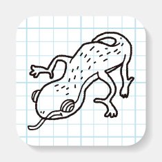 Doodle Lizard