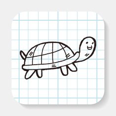 doodle tortoise N2