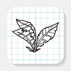 plant doodle N38