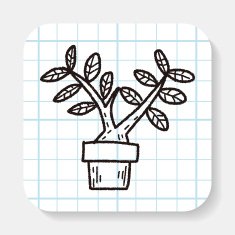 plant doodle N52