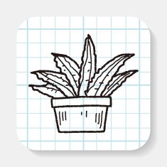 plant doodle N56