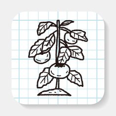 plant doodle N57