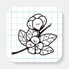 plant doodle N62