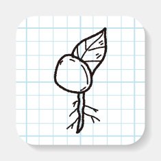 plant doodle N63