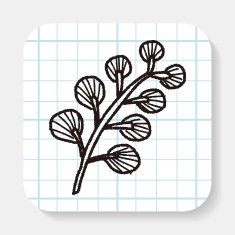 plant doodle N65