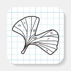 plant doodle N66