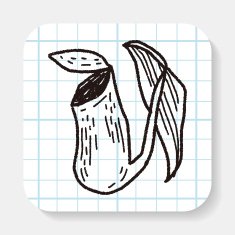 plant doodle N69