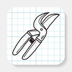 scissor doodle
