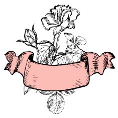 Isolated roses with old styled vintage ribbon N2