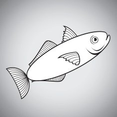 Fish N12