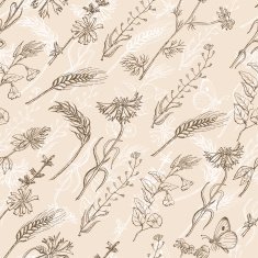 Seamless pattern with wild plants on a beige background