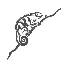 Chameleon N6