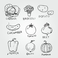 set of vegetables tomato cucumber potato