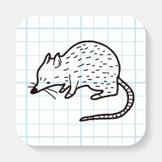 mouse doodle