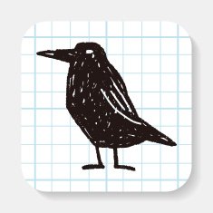 crow doodle