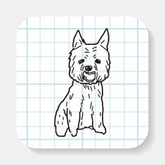 Dog doodle N9