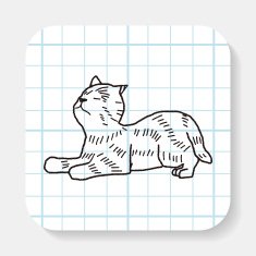 cat doodle drawing N8