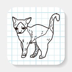 cat doodle drawing N15