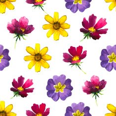 Vector illustration with seamless flower background N2