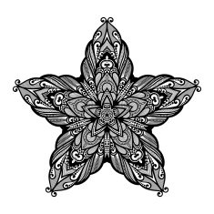 Vector Beautiful Deco Black Star N2