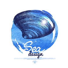 Seashell banner Sea nautical design Hand drawn sketch and wate