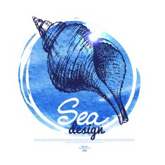 Seashell banner Sea nautical design Hand drawn sketch and wate N2