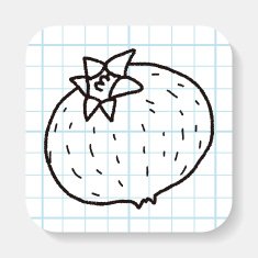 Passion Fruit doodle