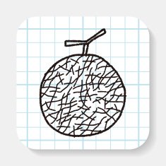 melon doodle