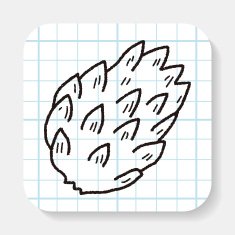 Custard apple doodle N2