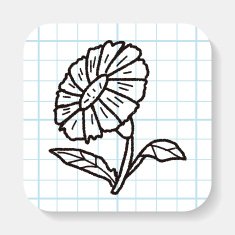Flower doodle N12