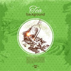 Tea vintage background Hand drawn sketch illustration Menu des N7