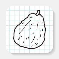 guava doodle N2