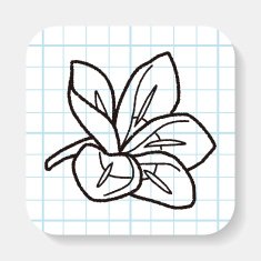 Flower doodle N27