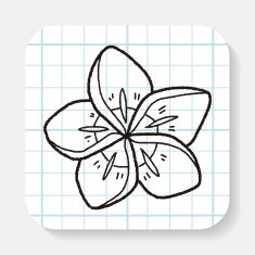 Flower doodle N28